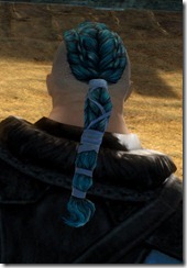 gw2-twilight-assault-hairstyles-norn-male-2-3