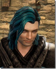 gw2-twilight-assault-hairstyles-norn-male-3-1