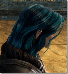 gw2-twilight-assault-hairstyles-norn-male-3-2
