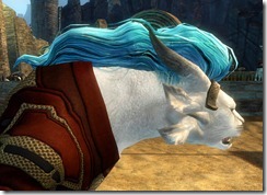 gw2-twilight-assault-hairstyles-char-female-1-2