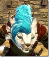 gw2-twilight-assault-hairstyles-char-female-2-1