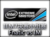IEM7世界总决赛A组视频：Fnatic vs IM精彩回顾