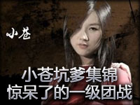 小苍坑爹集锦：TOP5第37期 惊呆了的一级团战