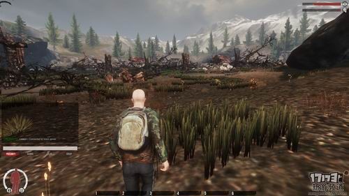 <!--infokeyword-->最新图片