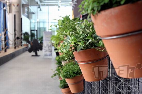 <!--infokeyword-->����ͼƬ