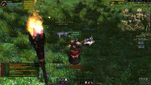 <!--infoKeyWord-->最新图片