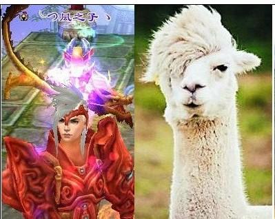 点击查看原图 扒一扒狮子吼的疯子明教 神兽发型碉堡了_天龙八部3杂谈_游久网天龙八部专区TL.UUU9.COM