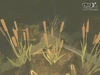 【燕返】避难 实况娱乐2