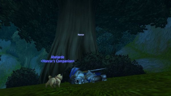 点击放大 点击查看大图