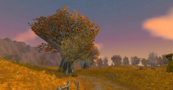 点击放大 点击查看大图