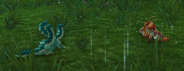 首席内容设计师谈宠物对战 很多90级玩家在玩