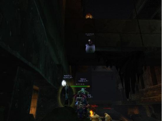 此图告诉我们为什么黑石塔是一个立体副本。(图为战胜维姆萨拉克后我们打算回来杀胖子Boss然后跳山过程中有人搁浅了)