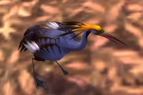 5.4测试服:永恒岛趣味道具及战斗宠物汇总