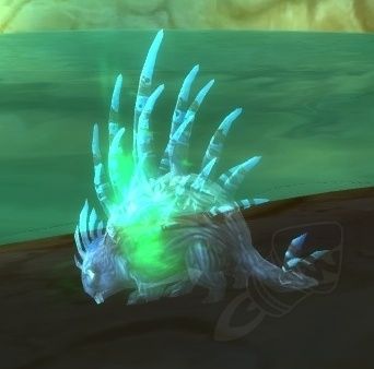 5.4测试服:永恒岛趣味道具及战斗宠物汇总