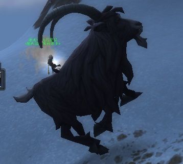 趣味玩具等你来拿 MOP黄名精英怪汇总