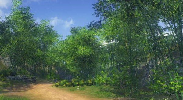 图：正午晴朗艳阳的林间