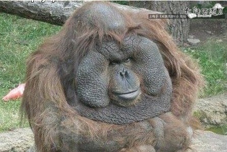 这是？传说中的泥石怪？