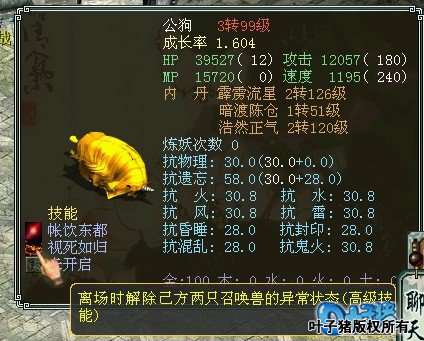 小黄金