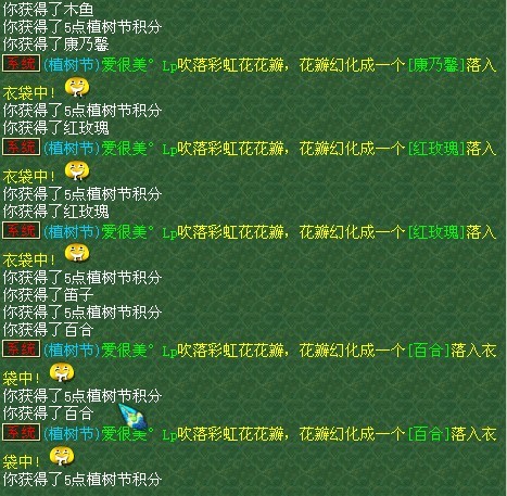 343.jpg