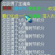 413.jpg