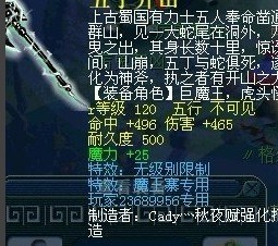 坑爹大盘点 专用无级别装备