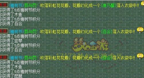 逆袭一瞬间 一车彩虹花赌运气