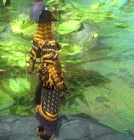 御龙在天 妹子玩家令人捧腹的趣事儿