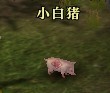 说明: 4.23-7.jpg