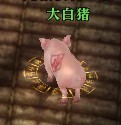 说明: 4.23-8.jpg