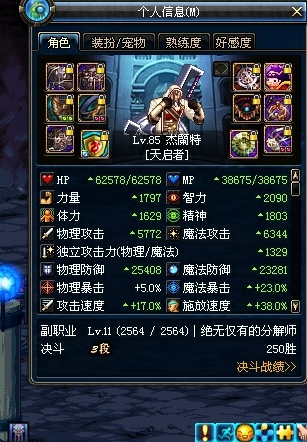 圣骑士寂静9件套与混搭9件套效果对比