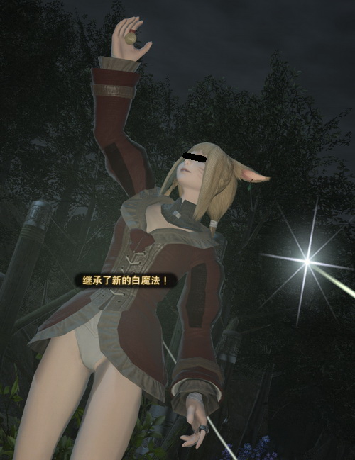FF14小裤裤白魔传奇 都是SE太绅士的错