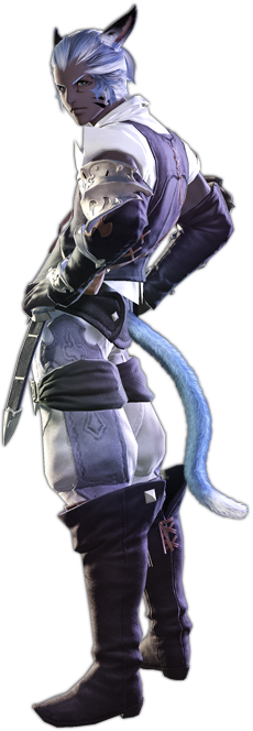 最终幻想14种族：猫魅族护月之民