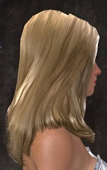 gw2-new-hairstyles-human-female-1-2