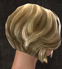 gw2-new-hairstyles-human-female-2-2