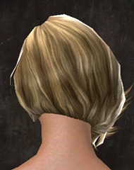 gw2-new-hairstyles-human-female-2-3