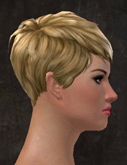 gw2-new-hairstyles-human-female-3-2