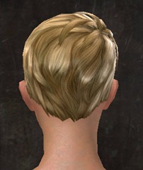 gw2-new-hairstyles-human-female-3-3