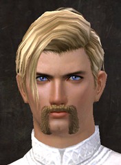 gw2-new-hairstyles-human-male-1