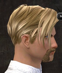 gw2-new-hairstyles-human-male-1-2