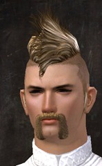gw2-new-hairstyles-human-male-2