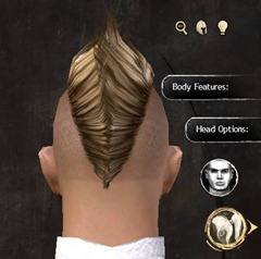 gw2-new-hairstyles-human-male-2-3