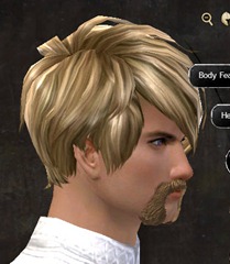 gw2-new-hairstyles-human-male-3-2