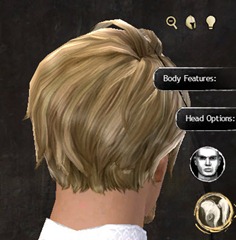 gw2-new-hairstyles-human-male-3-3