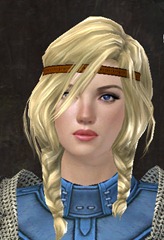 gw2-new-hairstyles-norn-female-1