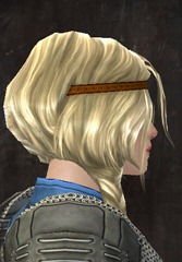 gw2-new-hairstyles-norn-female-1-2