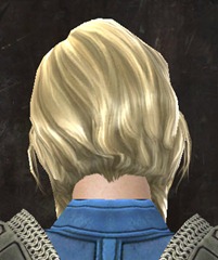 gw2-new-hairstyles-norn-female-1-3