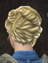 gw2-new-hairstyles-norn-female-2-3