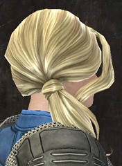 gw2-new-hairstyles-norn-female-3-1