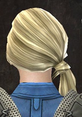 gw2-new-hairstyles-norn-female-3-2