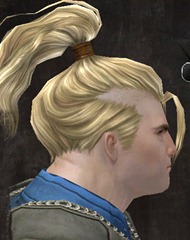gw2-new-hairstyles-norn-male-1-2